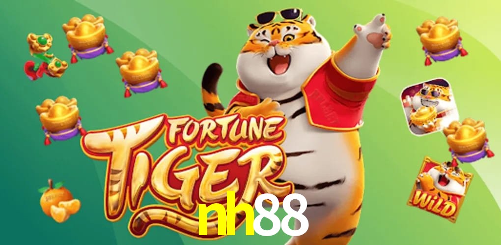Bonus Features nh88